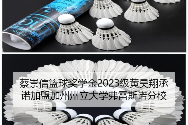 蔡崇信篮球奖学金2023级黄昊翔承诺加盟加州州立大学弗雷斯诺分校 - EONSPORTS